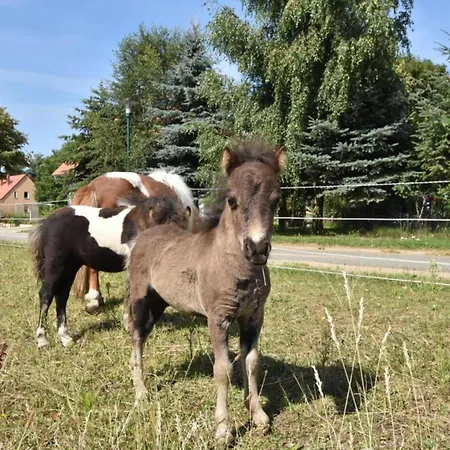 خيمة فخمة Glamour-camping *